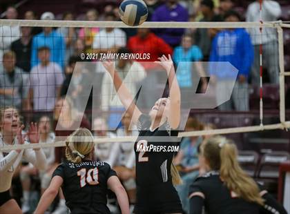 Thumbnail 2 in Springtown @ Bridgeport photogallery.