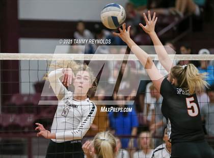 Thumbnail 3 in Springtown @ Bridgeport photogallery.