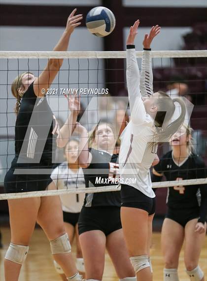 Thumbnail 2 in Springtown @ Bridgeport photogallery.