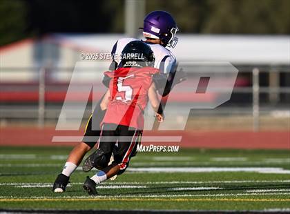 Thumbnail 2 in FR: Lassen @ Foothill photogallery.