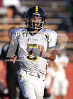 Photo from the gallery "Terra Nova @ Vallejo"