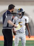 Photo from the gallery "Terra Nova @ Vallejo"