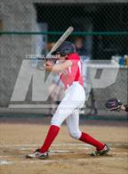 Photo from the gallery "Clearfield vs. Hamburg (PIAA 4A Quarterfinal)"