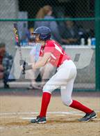 Photo from the gallery "Clearfield vs. Hamburg (PIAA 4A Quarterfinal)"