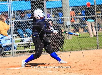 Thumbnail 3 in Havelock vs. Triton photogallery.