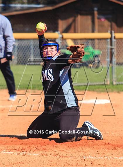 Thumbnail 3 in Havelock vs. Triton photogallery.