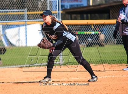 Thumbnail 1 in Havelock vs. Triton photogallery.