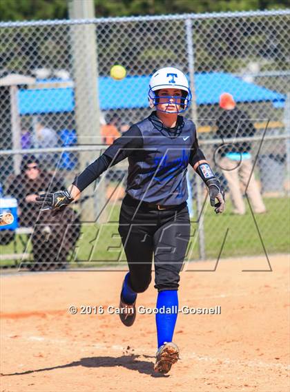 Thumbnail 3 in Havelock vs. Triton photogallery.