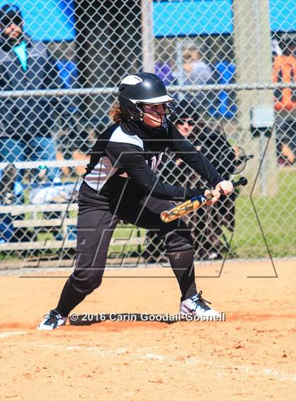 Thumbnail 1 in Havelock vs. Triton photogallery.