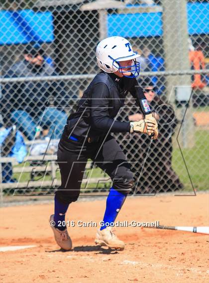 Thumbnail 1 in Havelock vs. Triton photogallery.