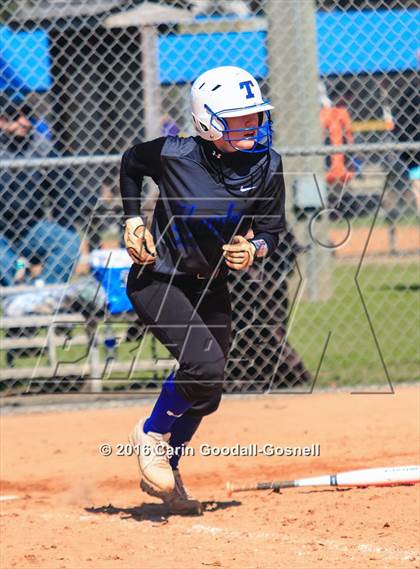 Thumbnail 2 in Havelock vs. Triton photogallery.