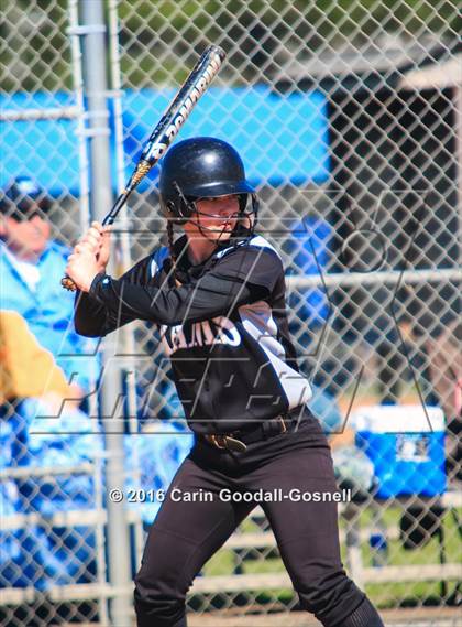 Thumbnail 3 in Havelock vs. Triton photogallery.