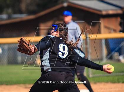 Thumbnail 3 in Havelock vs. Triton photogallery.