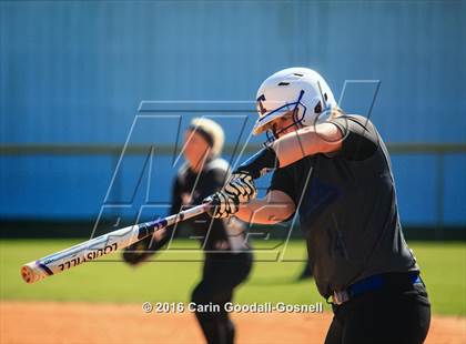 Thumbnail 2 in Havelock vs. Triton photogallery.