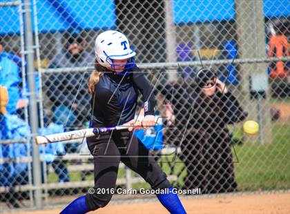 Thumbnail 3 in Havelock vs. Triton photogallery.