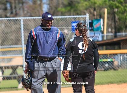 Thumbnail 3 in Havelock vs. Triton photogallery.