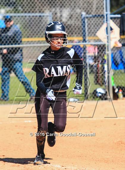Thumbnail 1 in Havelock vs. Triton photogallery.