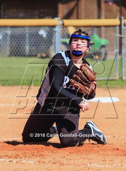 Thumbnail 1 in Havelock vs. Triton photogallery.