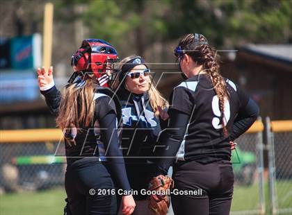Thumbnail 2 in Havelock vs. Triton photogallery.
