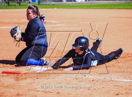 Thumbnail 3 in Havelock vs. Triton photogallery.