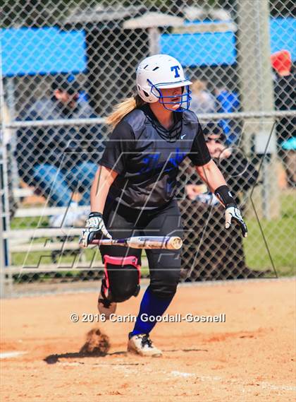 Thumbnail 1 in Havelock vs. Triton photogallery.