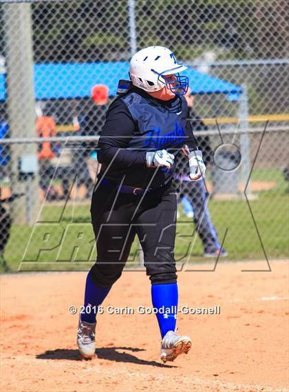 Thumbnail 1 in Havelock vs. Triton photogallery.