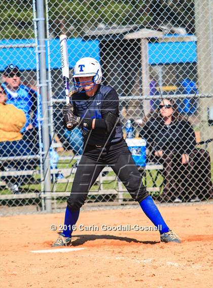 Thumbnail 3 in Havelock vs. Triton photogallery.