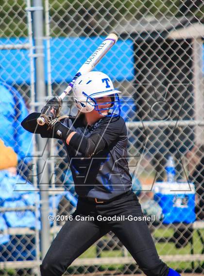 Thumbnail 2 in Havelock vs. Triton photogallery.