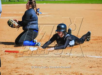 Thumbnail 2 in Havelock vs. Triton photogallery.