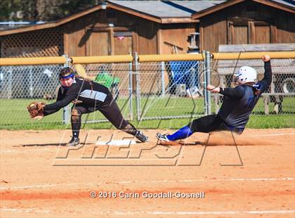 Thumbnail 1 in Havelock vs. Triton photogallery.