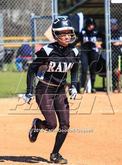 Thumbnail 2 in Havelock vs. Triton photogallery.