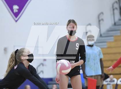 Thumbnail 3 in Pomona @ Arvada West photogallery.