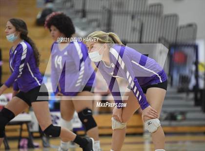 Thumbnail 3 in Pomona @ Arvada West photogallery.