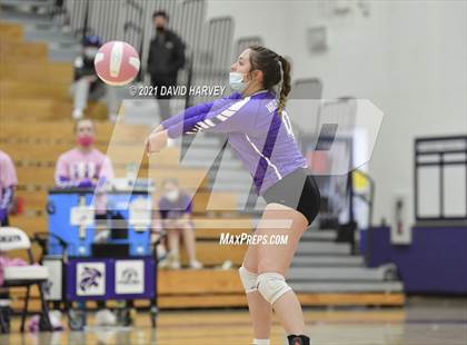 Thumbnail 3 in Pomona @ Arvada West photogallery.