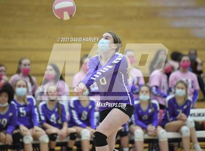 Thumbnail 1 in Pomona @ Arvada West photogallery.