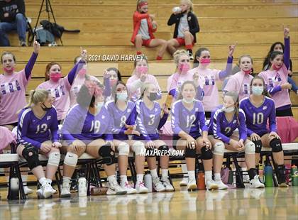 Thumbnail 3 in Pomona @ Arvada West photogallery.