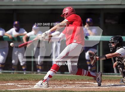 Thumbnail 3 in Santa Maria @ Righetti photogallery.