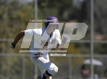 Thumbnail 3 in Santa Maria @ Righetti photogallery.
