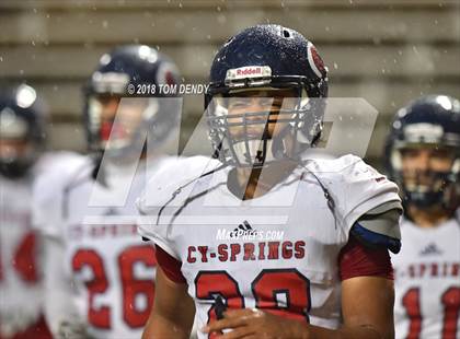 Thumbnail 2 in Cypress Springs @ Cypress Woods photogallery.