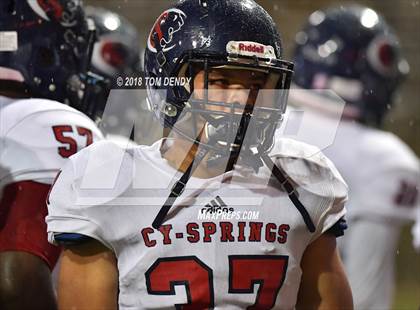Thumbnail 3 in Cypress Springs @ Cypress Woods photogallery.