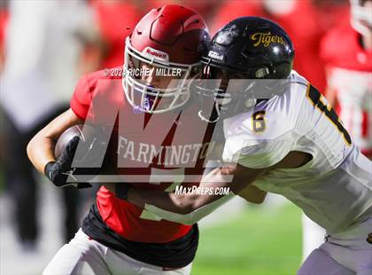 Thumbnail 1 in Prairie Grove @ Farmington photogallery.