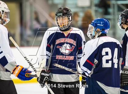 Thumbnail 1 in Bellmore-Merrick @ Cold Spring Harbor photogallery.