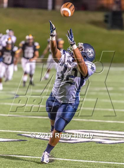 Thumbnail 3 in Tomball Memorial @ Spring Woods photogallery.