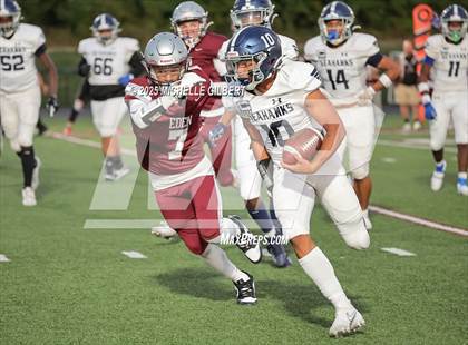 Thumbnail 2 in Tapestry/Maritime @ Eden photogallery.