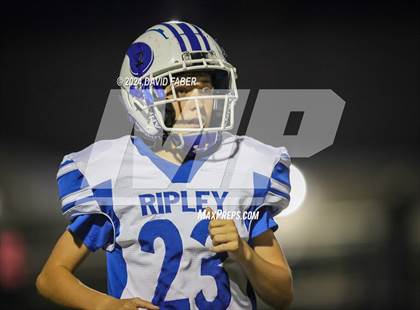 Thumbnail 2 in Ripley @ Point Pleasant photogallery.