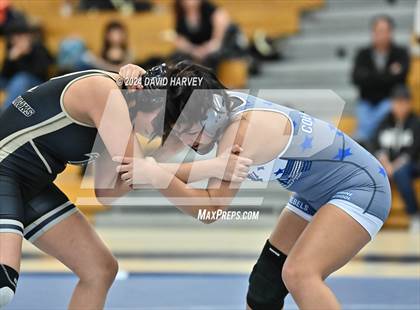 Thumbnail 2 in Prairie View vs Columbine photogallery.