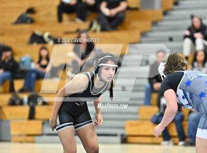 Thumbnail 1 in Prairie View vs Columbine photogallery.