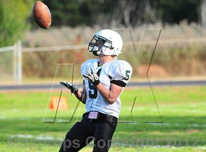 Thumbnail 1 in Guilford @ Hillhouse photogallery.