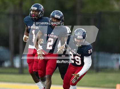 Thumbnail 2 in Langham Creek @ Cypress Springs photogallery.