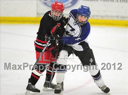 Thumbnail 3 in Cheshire @ Hall/Southington photogallery.